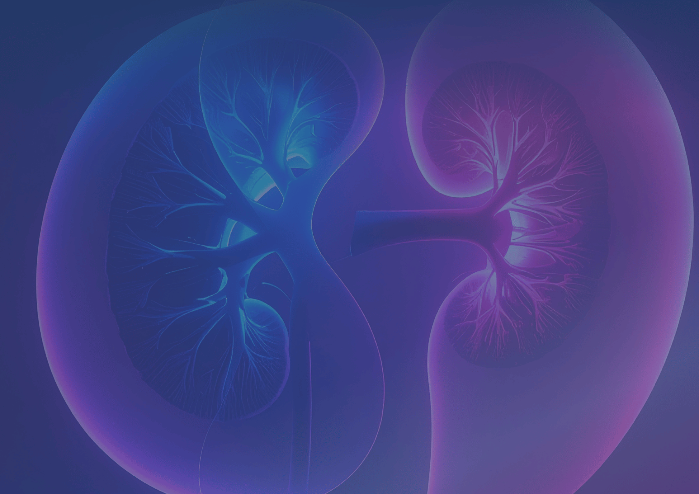 6th Rare & Genetic Kidney Disease DD Summit Blog Image